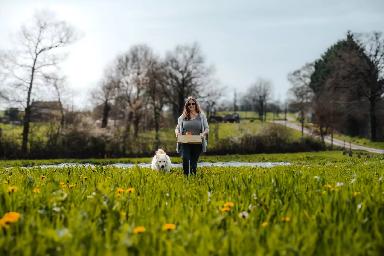 Tiny House : à la découverte de la campagne bretonne - 4