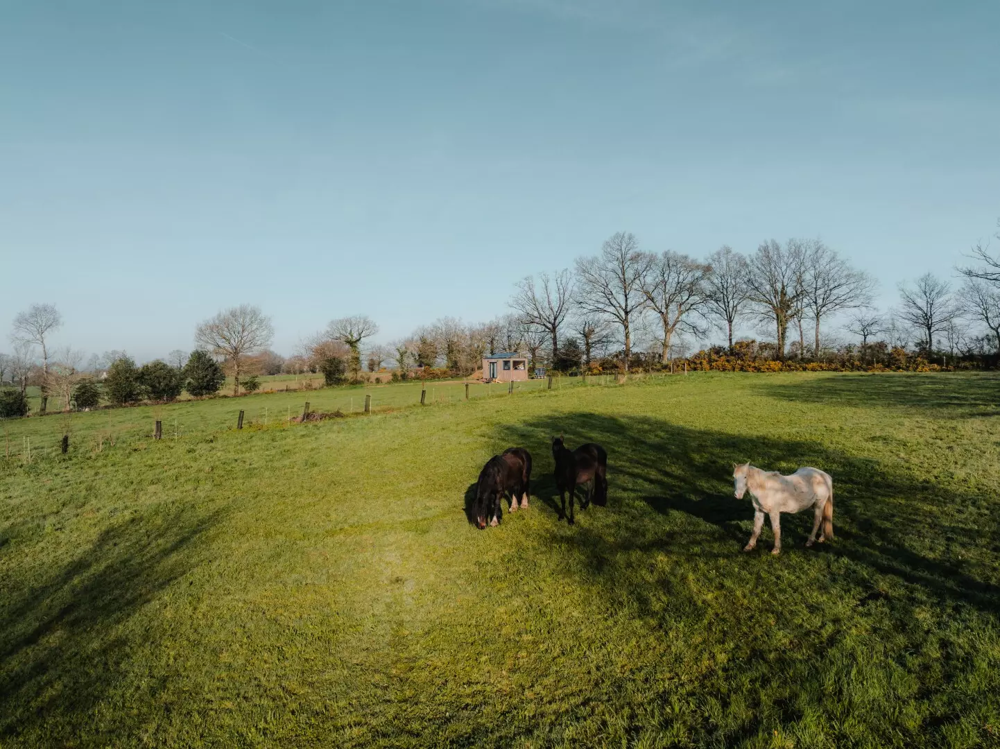 Tiny House : à la découverte de la campagne bretonne - 3