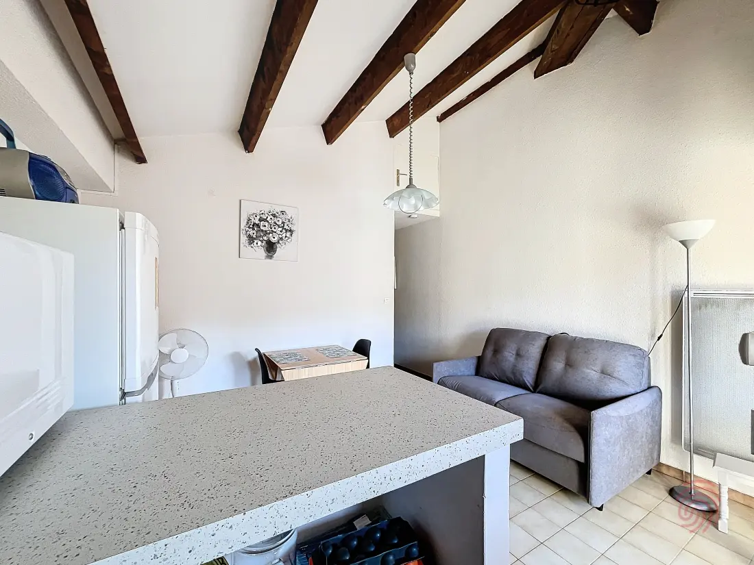 Location de Vacances Lamalou-les-Bains 141