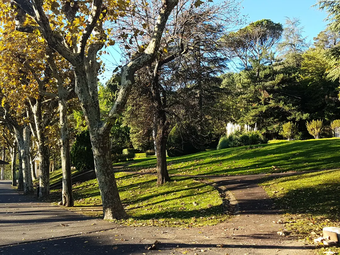 Location de Vacances Lamalou-les-Bains 197