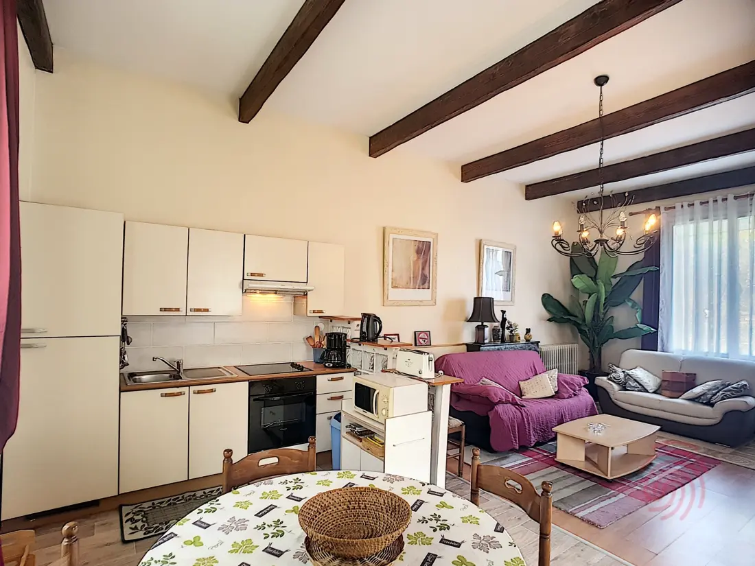 Location de Vacances Lamalou-les-Bains 32
