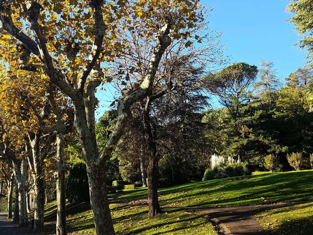 Location de Vacances Lamalou-les-Bains 7