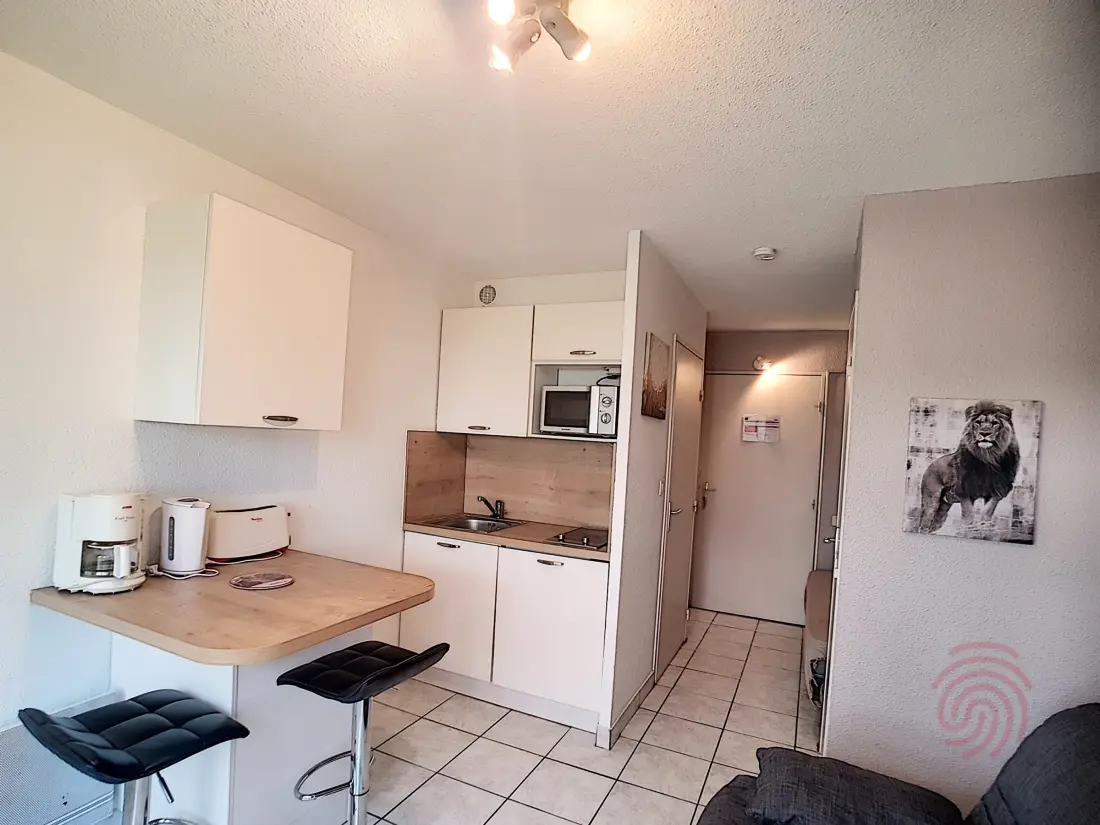 Location de Vacances Lamalou-les-Bains 74