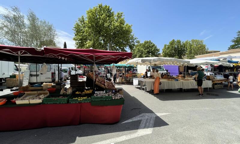 Villa En Campagne Avec Piscine - - Lambesc - 31