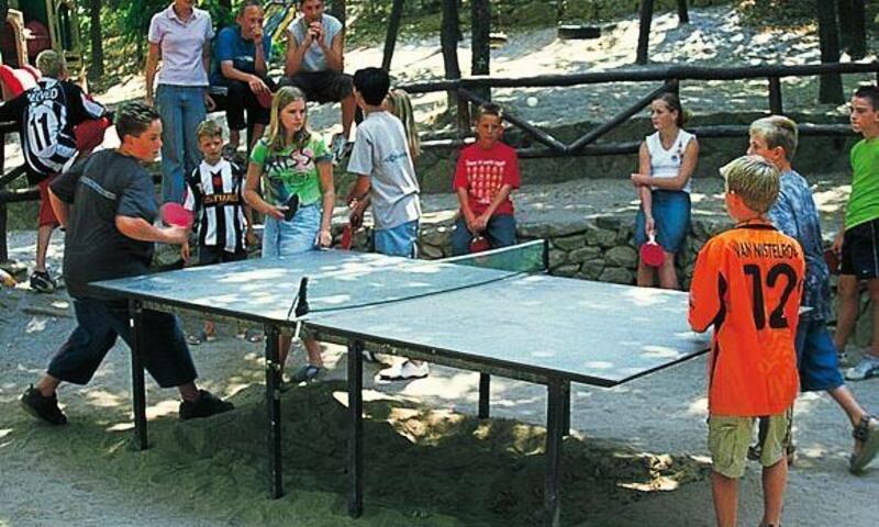 Camping Barco Reale **** - Lamporecchio - 6
