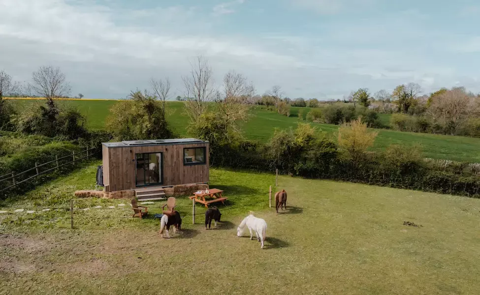 Tiny House : au cœur d'un pré Normand - 2