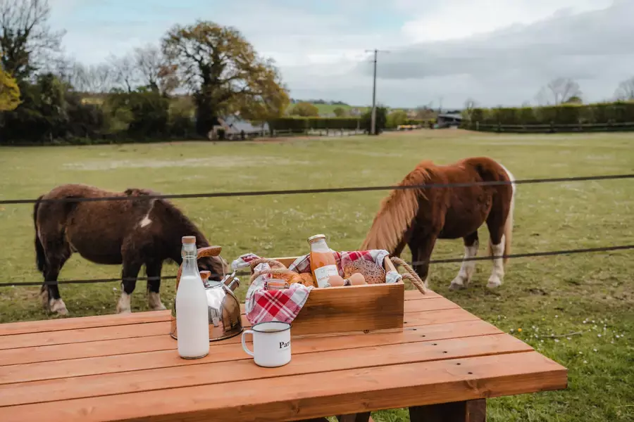 Tiny House : au cœur d'un pré Normand - 3