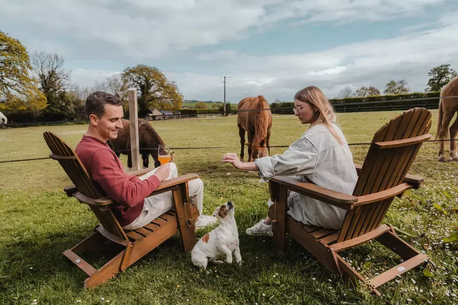Tiny House : au cœur d'un pré Normand - 4