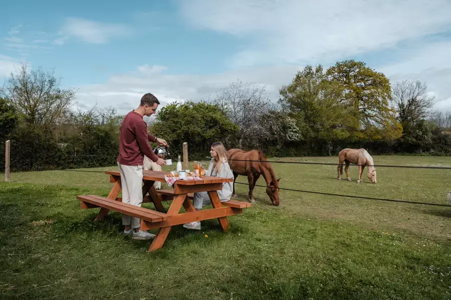 Tiny House : au cœur d'un pré Normand - 5