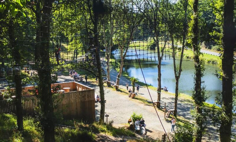 Gîte de France Ty triane 3 épis - - Lantic - 25