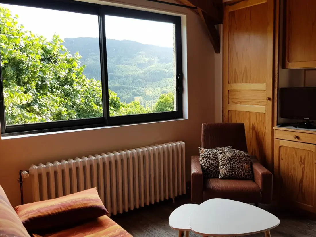 Maison de Vacances Laprugne 4