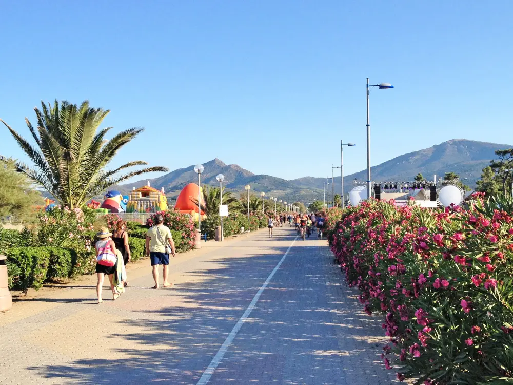 Maison de Vacances Argelès sur Mer