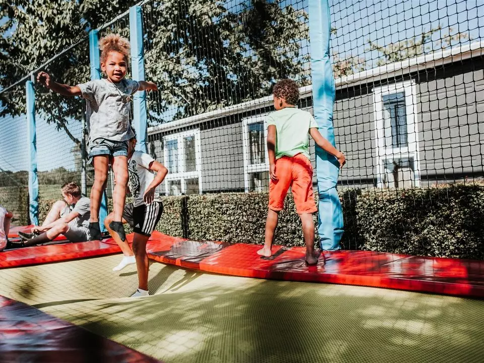 Recreatiepark De Veerstal - Lathum - 8