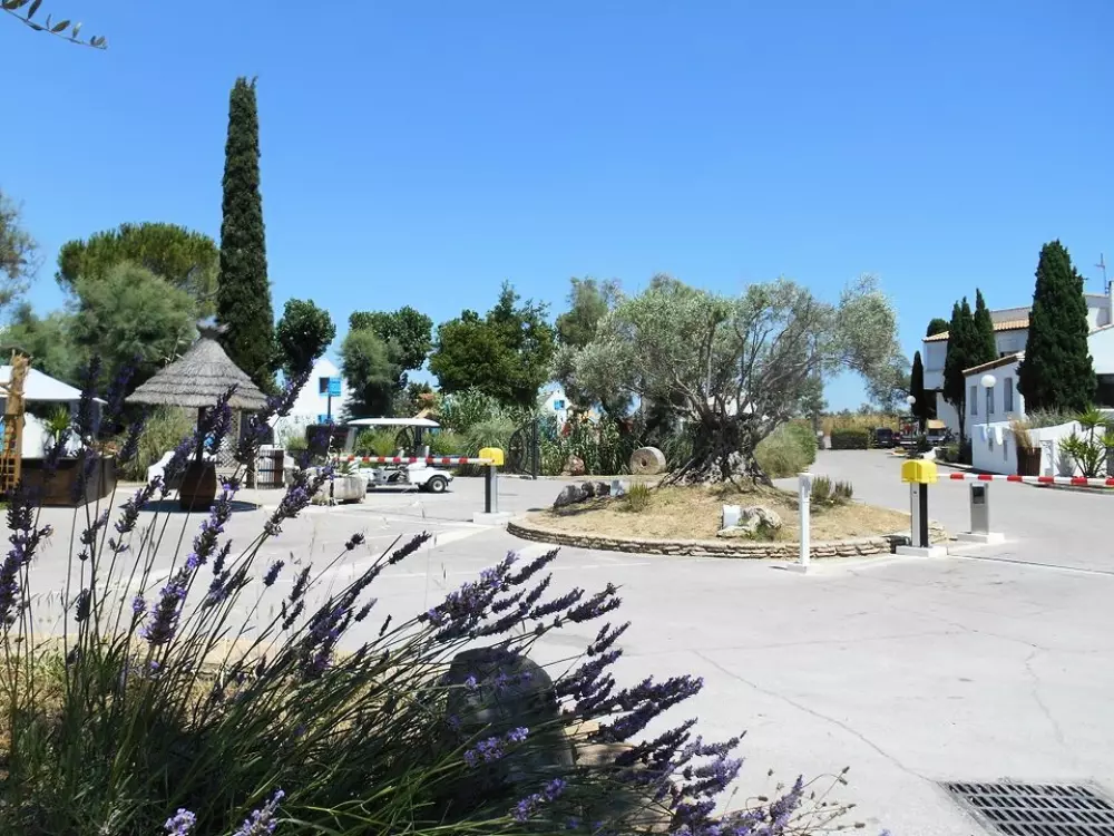 Camping Le Camarguais3 étoiles★★★