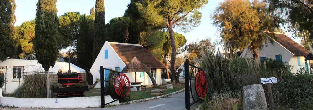 Camping Le Camarguais3 étoiles★★★