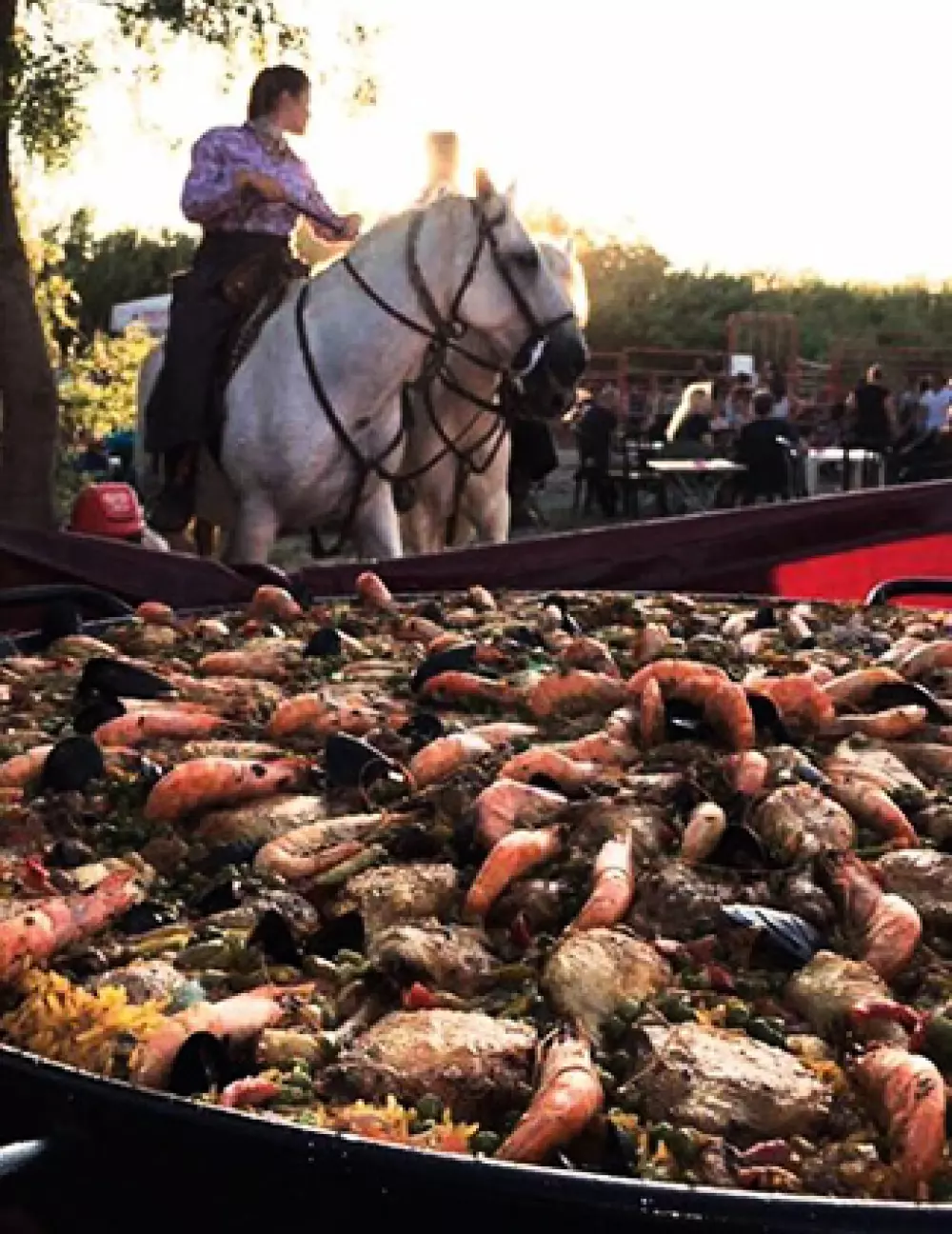 Camping Le Camarguais3 étoiles★★★