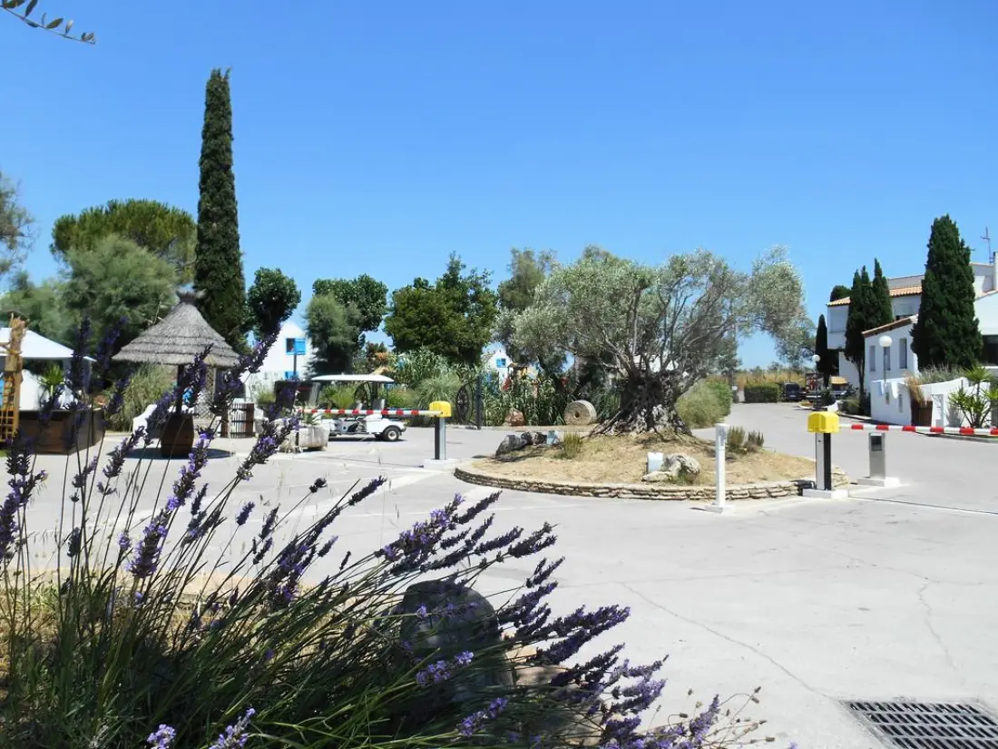 Camping Le Camarguais 4 étoiles★★★★