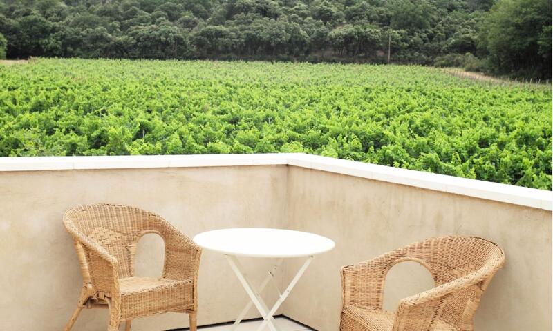 Maison Des Vignes : Piscine Et Charme à Lauris - - Lauris - 37