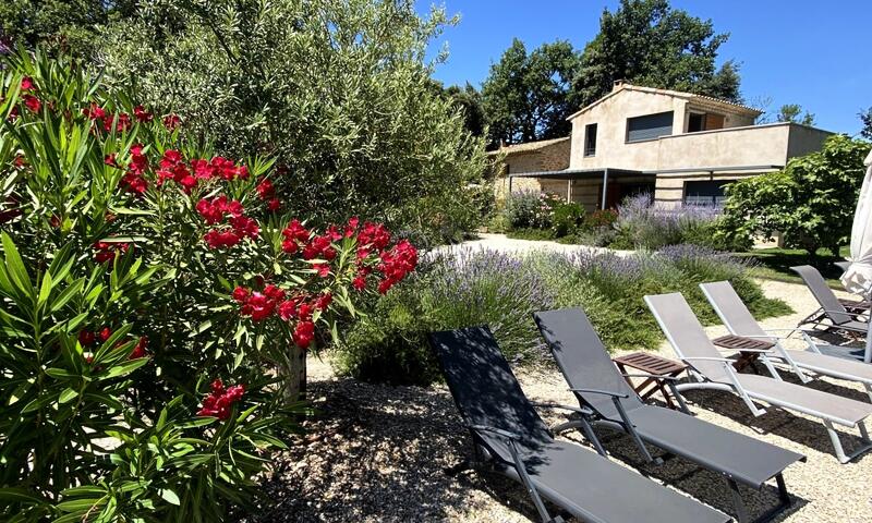 Maison Des Vignes : Piscine Et Charme à Lauris - - Lauris - 35