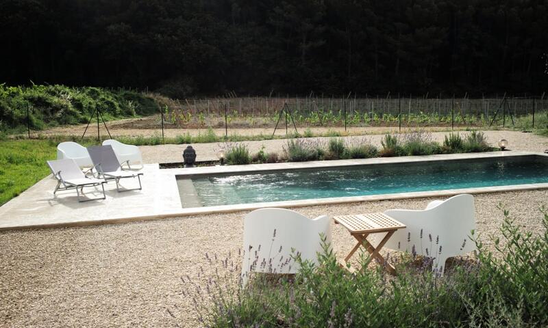 Maison Des Vignes : Piscine Et Charme à Lauris - - Lauris - 28