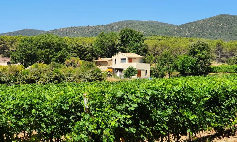 Maison Des Vignes : Piscine Et Charme à Lauris - - Lauris - 13