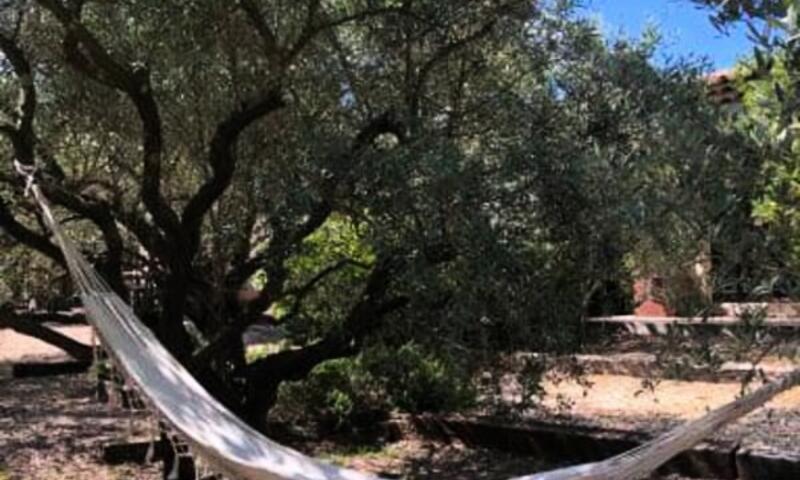 La Matina : Havre De Paix Familial Dans Un Jardin D'oliviers - - Lauris - 39