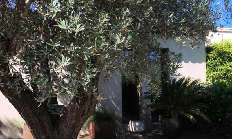 La Matina : Havre De Paix Familial Dans Un Jardin D'oliviers - - Lauris - 40