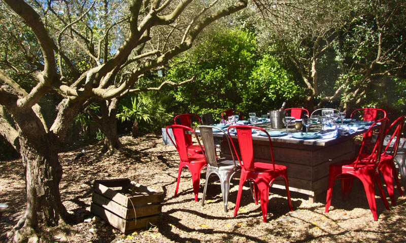 La Matina : Havre De Paix Familial Dans Un Jardin D'oliviers - - Lauris - 45