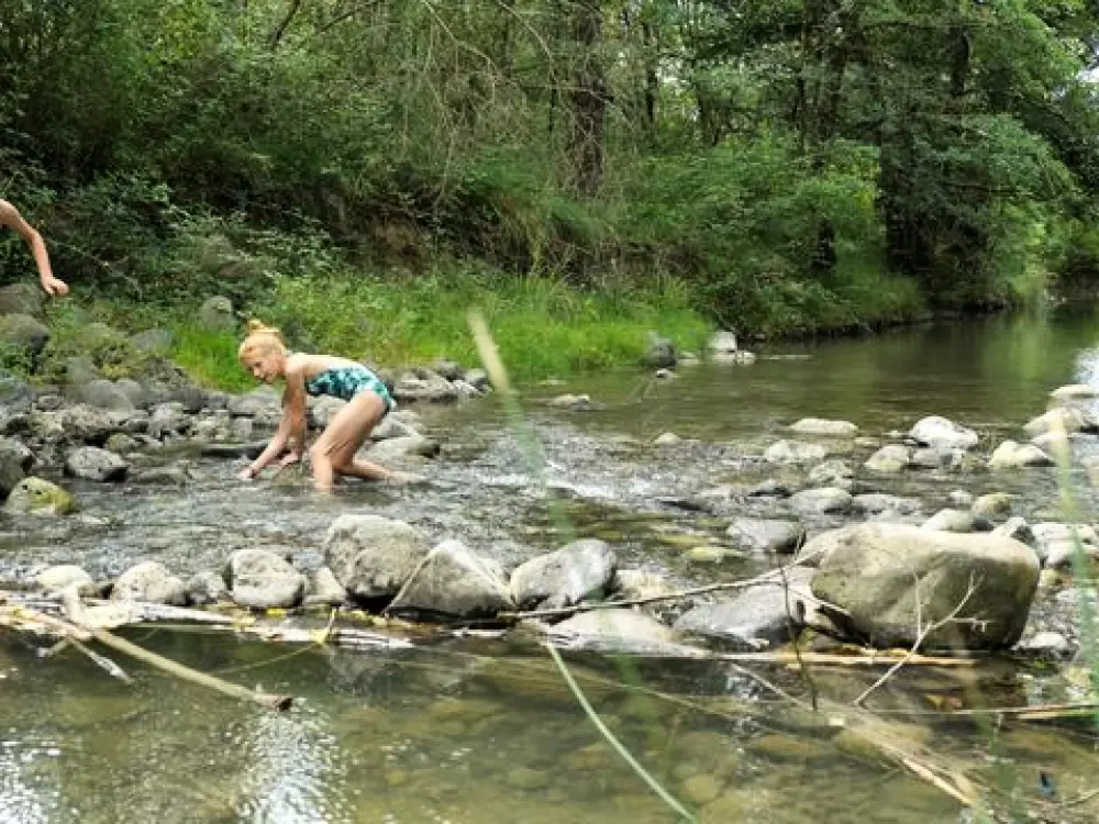 Camping Les Rives D'Auzon 3 étoiles★★★