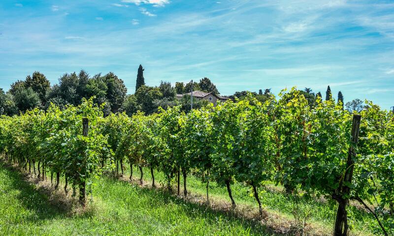 Camping Eurocamping Pacengo - Lazise - 9