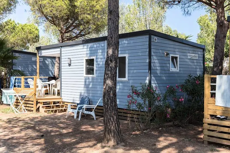 Camping Oasis California
