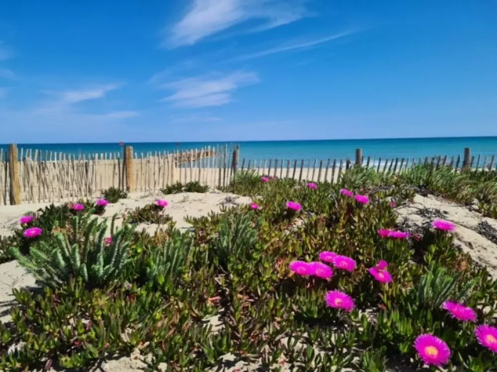 Résidence Barcares 2000