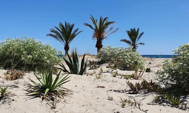 Résidence Jardins Du Rivage - - Le Barcarès - 18