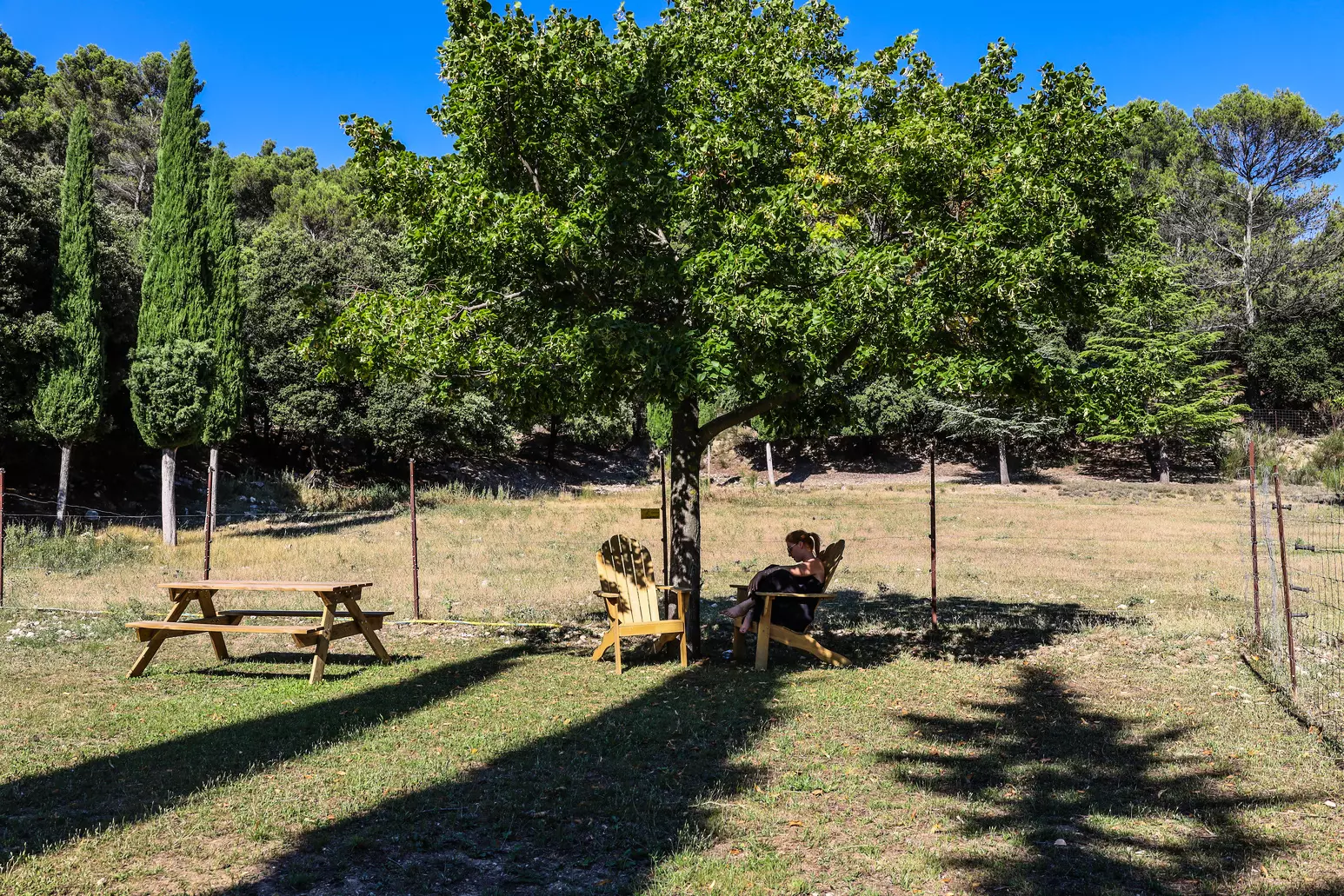 Tiny House : au pied du mont Ventoux - 5