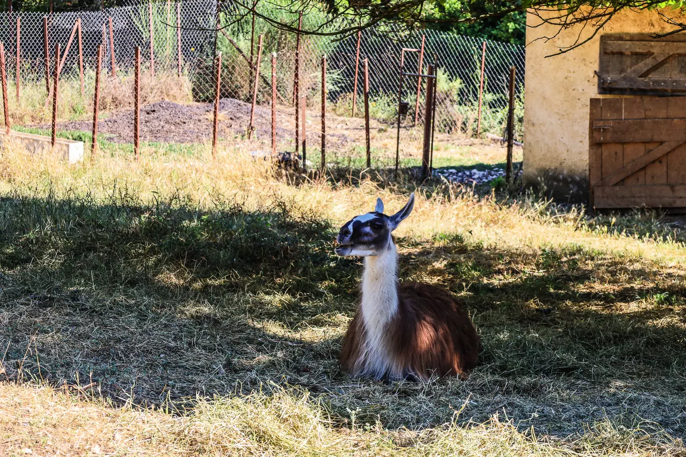 Tiny House : au pied du mont Ventoux - 3