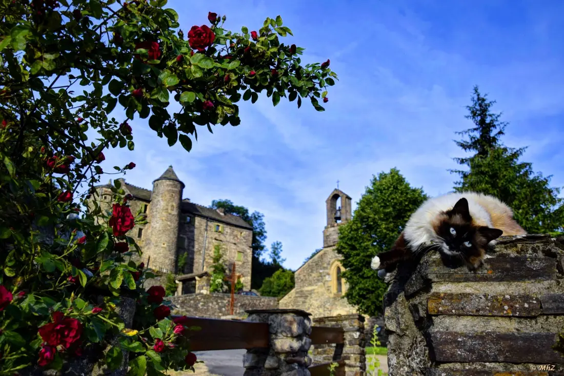 Gîte de France "le mas d'hillaire" 2 personnes à saint jean du bleymard 3 épis