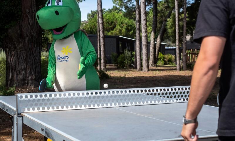 Flower Camping Tamarins Plage **** - Le-Bois-Plage-en-Ré - 7