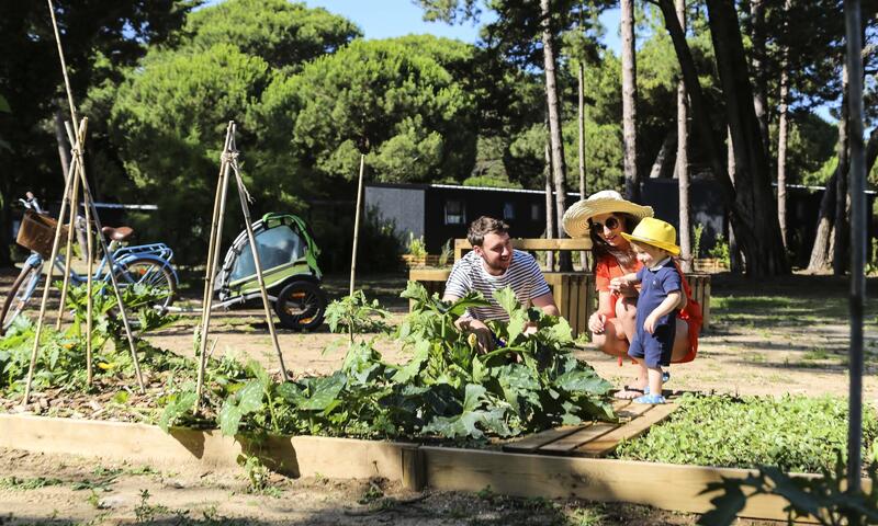 Flower Camping Tamarins Plage **** - Le-Bois-Plage-en-Ré - 20