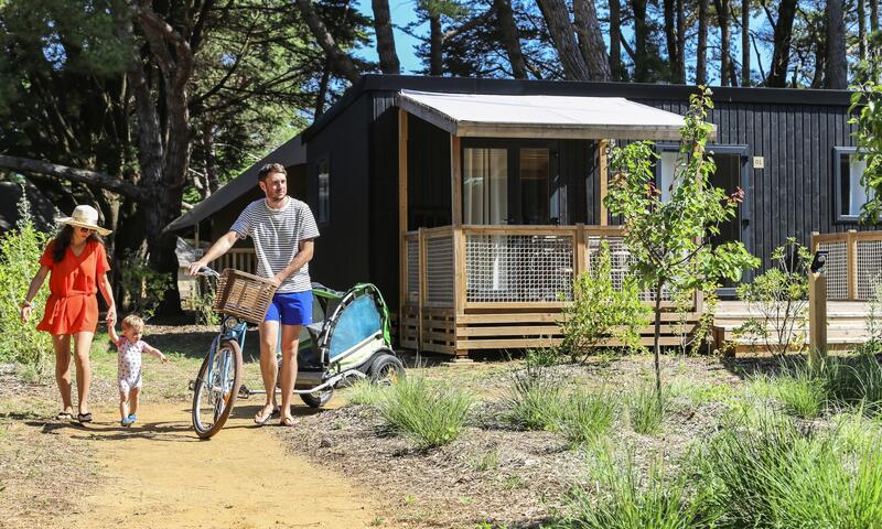 Flower Camping Tamarins Plage **** - Le-Bois-Plage-en-Ré - 37