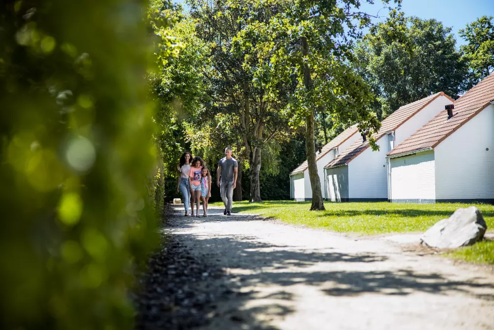 Domaine Park De Haan Center Parcs