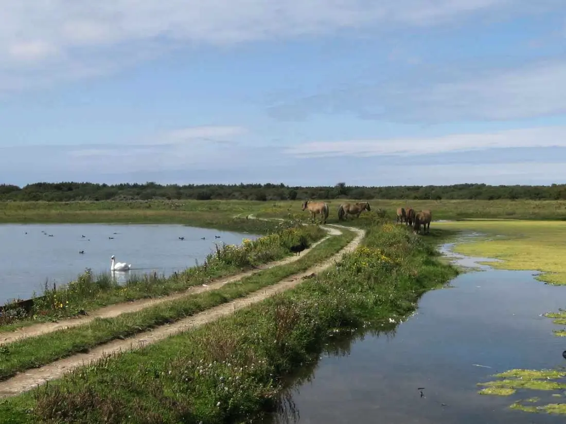 Camping LE TARTERON 3 étoiles★★★