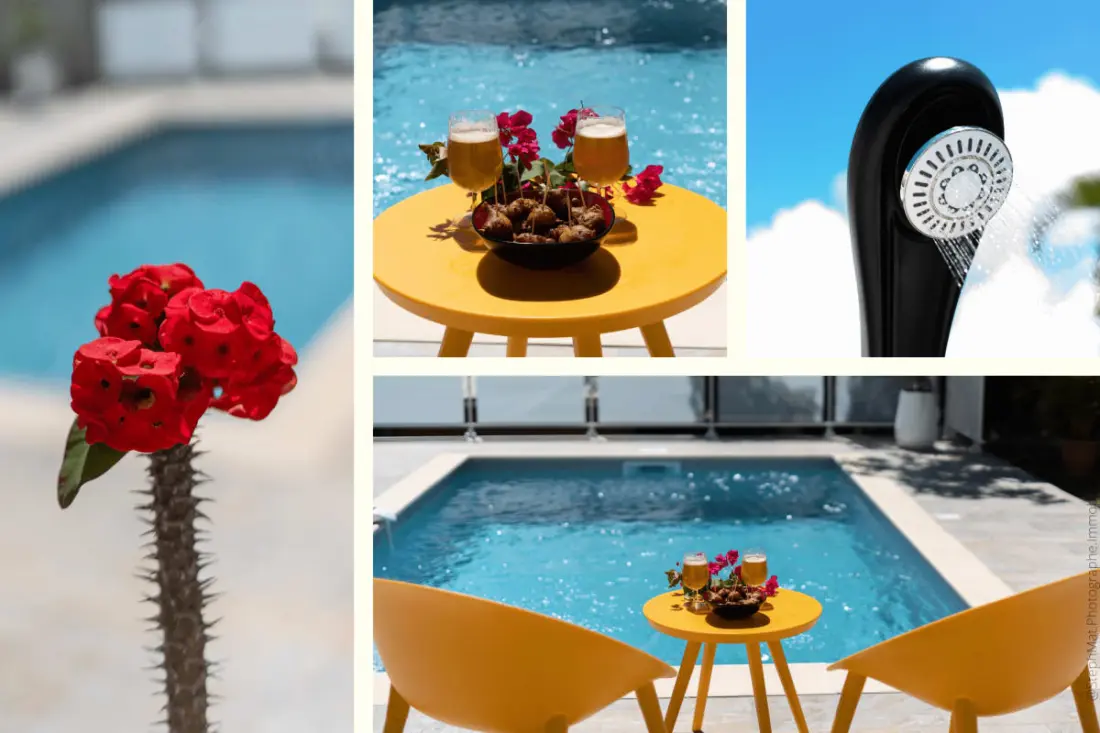 972a - Magnifique Rez-de-chaussée Avec Piscine