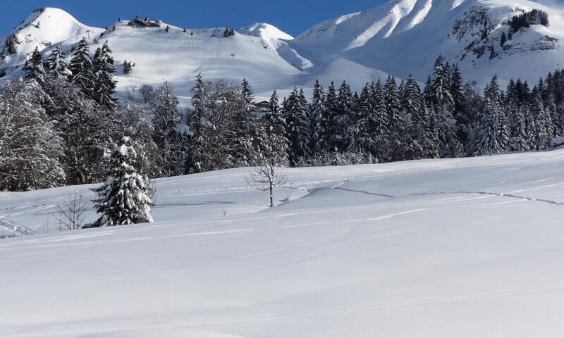 Résidence Gîte La Matte (La Grange) - - Le Grand-Bornand - 23