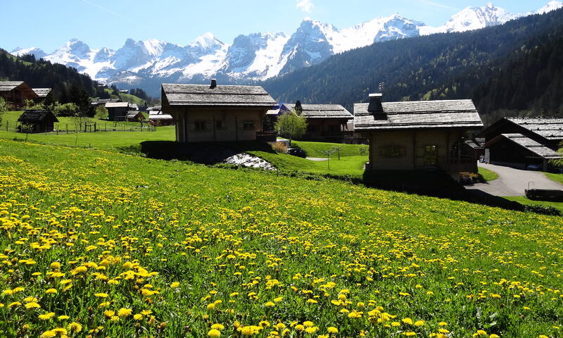 Chalet Pointe Percée - - Le Grand-Bornand - 13