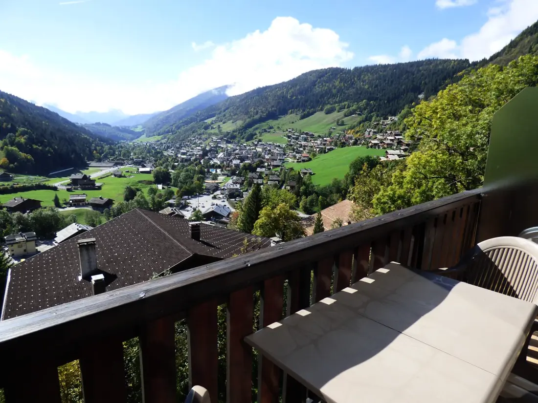 Location de Vacances Le Grand-Bornand 252