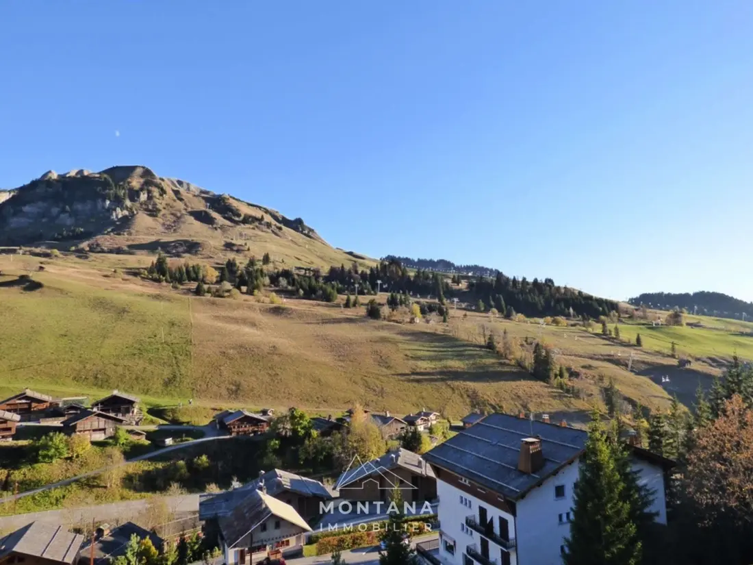 Location de Vacances Le Grand-Bornand 409