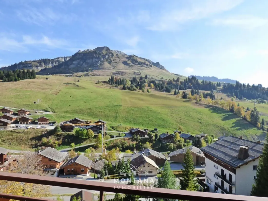 Location de Vacances Le Grand-Bornand 409
