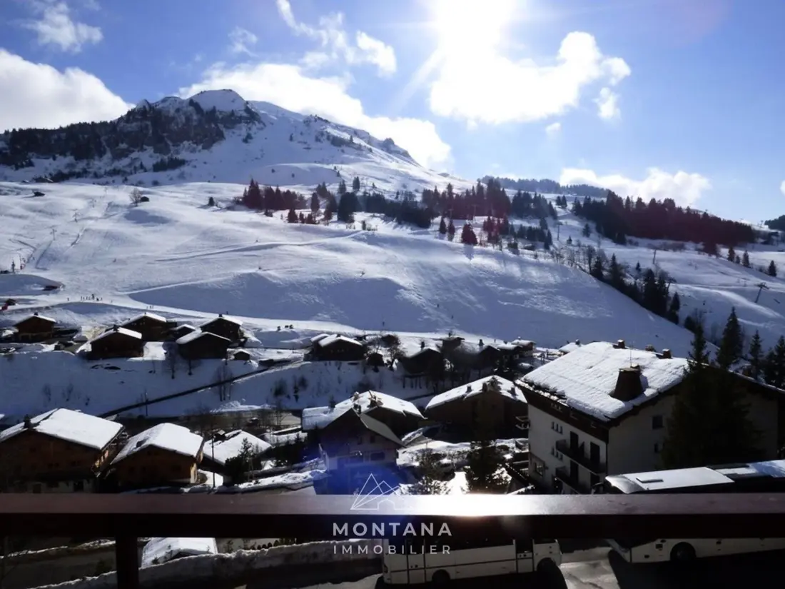 Location de Vacances Le Grand-Bornand 409