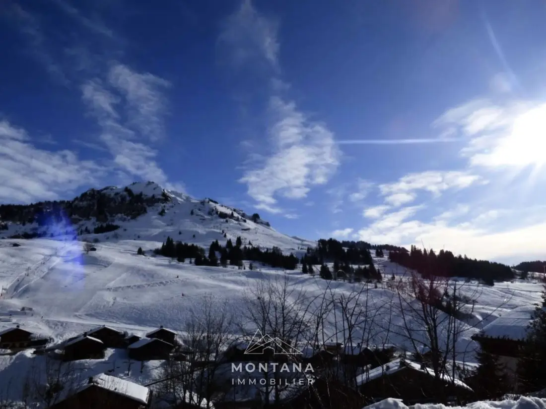 Location de Vacances Le Grand-Bornand 409