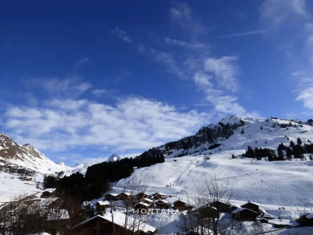 Location de Vacances Le Grand-Bornand 409